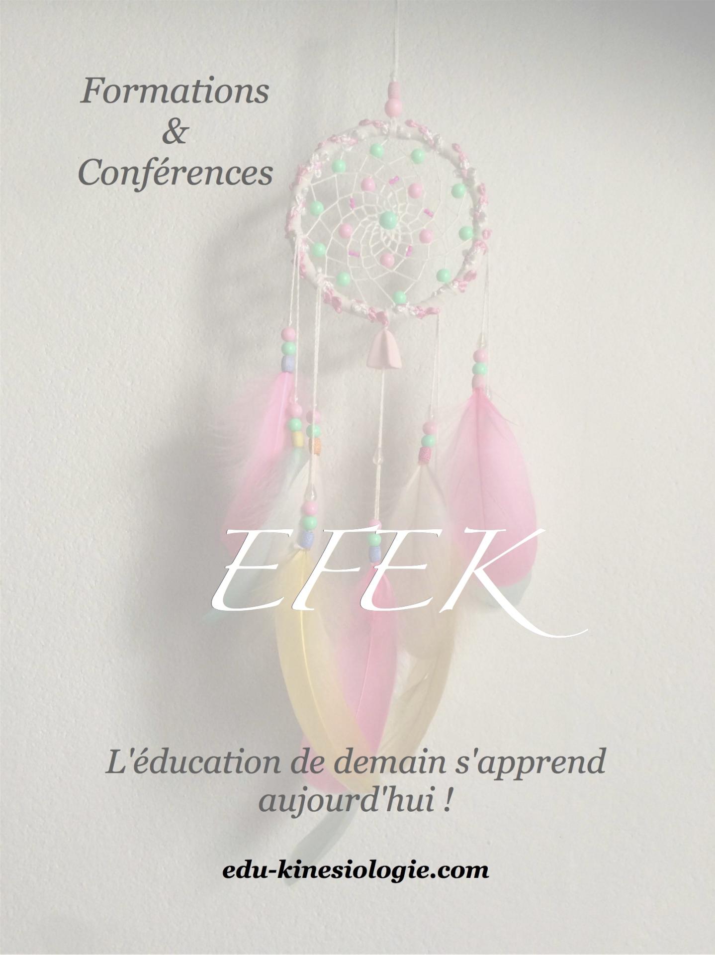 2024 07 07 affiche efek