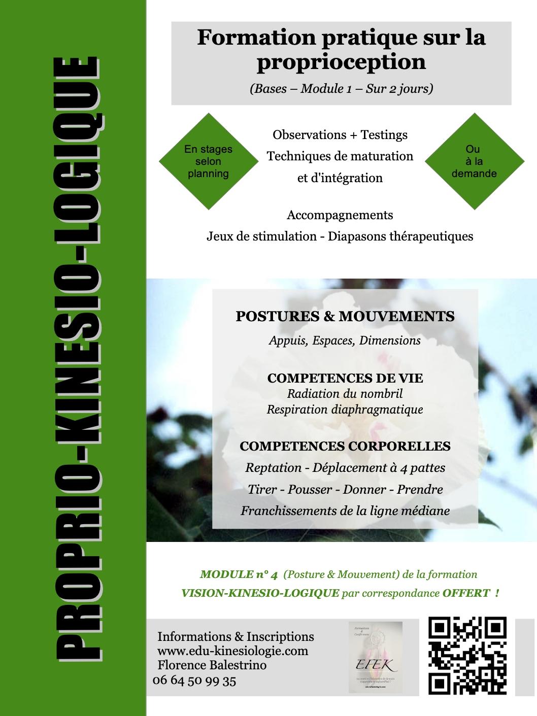 2025 04 05 proprio kinesio logique formation 1