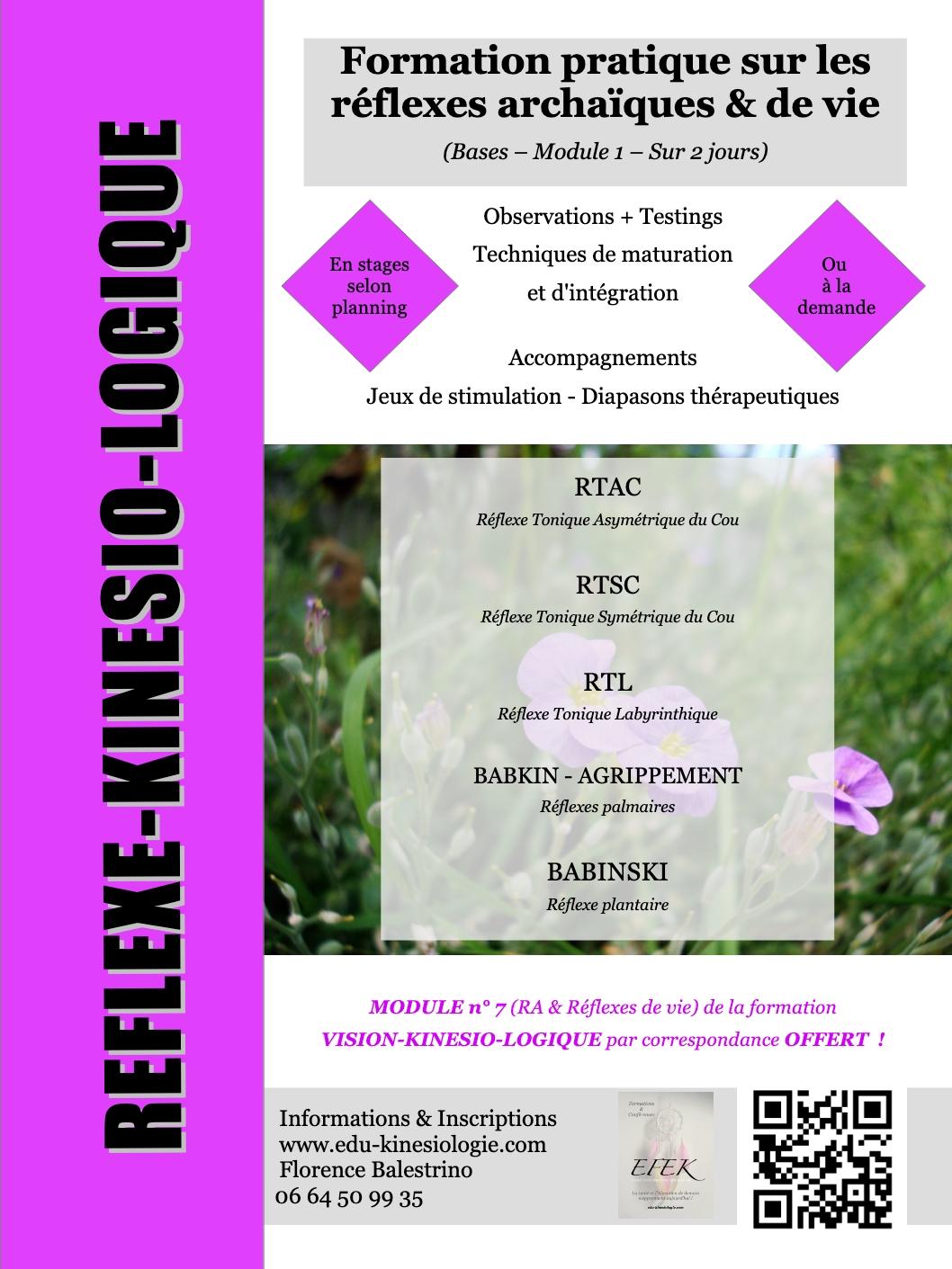 2025 04 05 reflexe kinesio logique formation 1