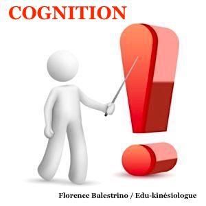 Cognition