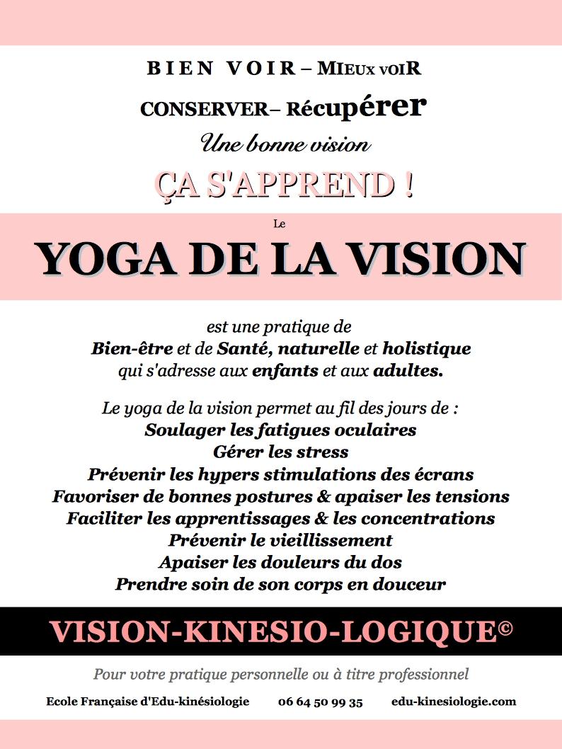 Y de la vision flyer visio kinesio logique 2